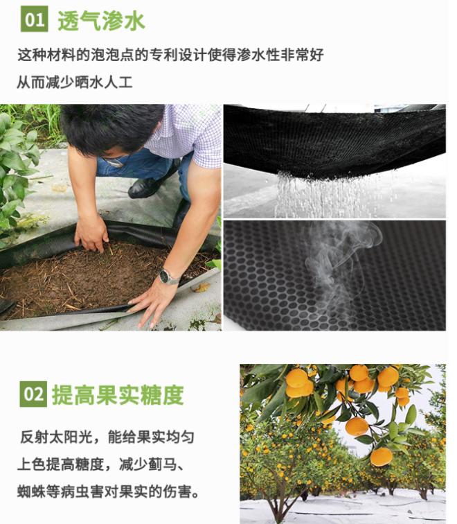 熊鲜森护果布·整枝套袋革命|转光技术·糖度提升1-3度|套袋效率是传统纸袋的10倍