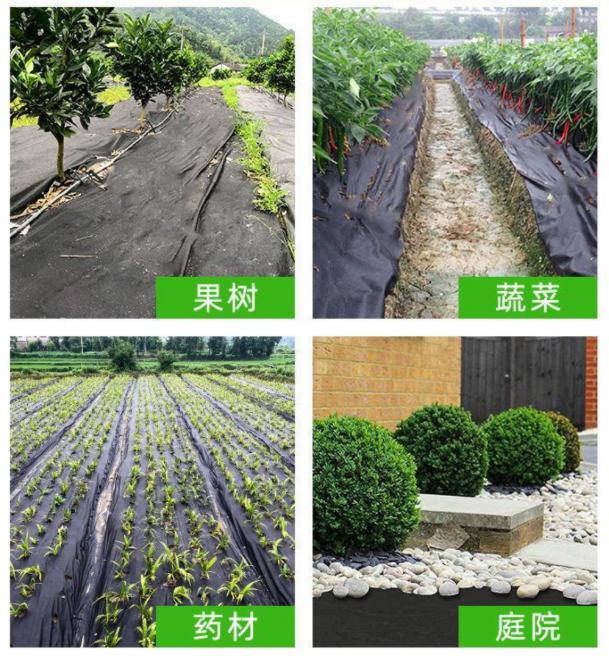特色农产品种植基地规划
