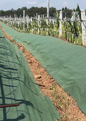 熊鲜森防草布·打孔覆盖