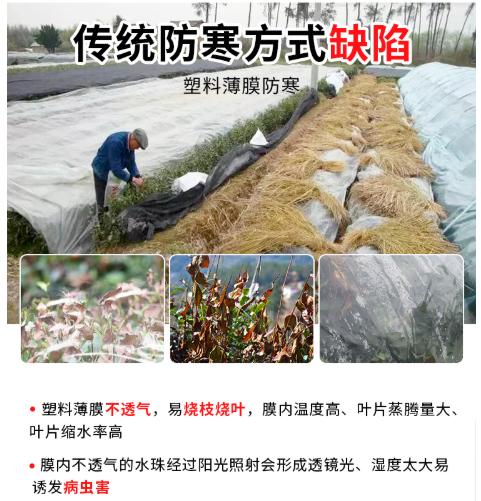 熊鲜森防寒布·大棚专用