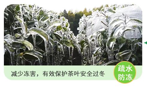 熊鲜森防寒布·产品细节