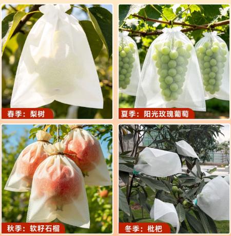 熊鲜森护果布·透气防虫展示